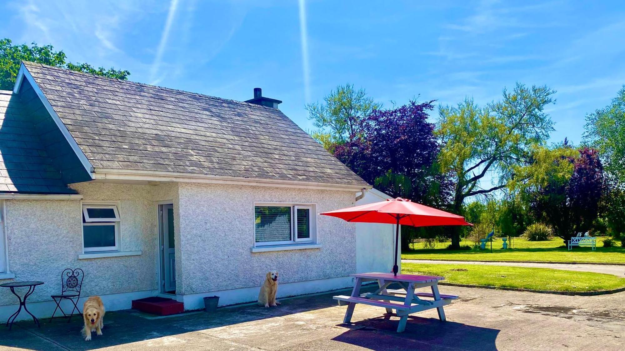 Villa Nolans Organic Farm Wexford Exterior foto