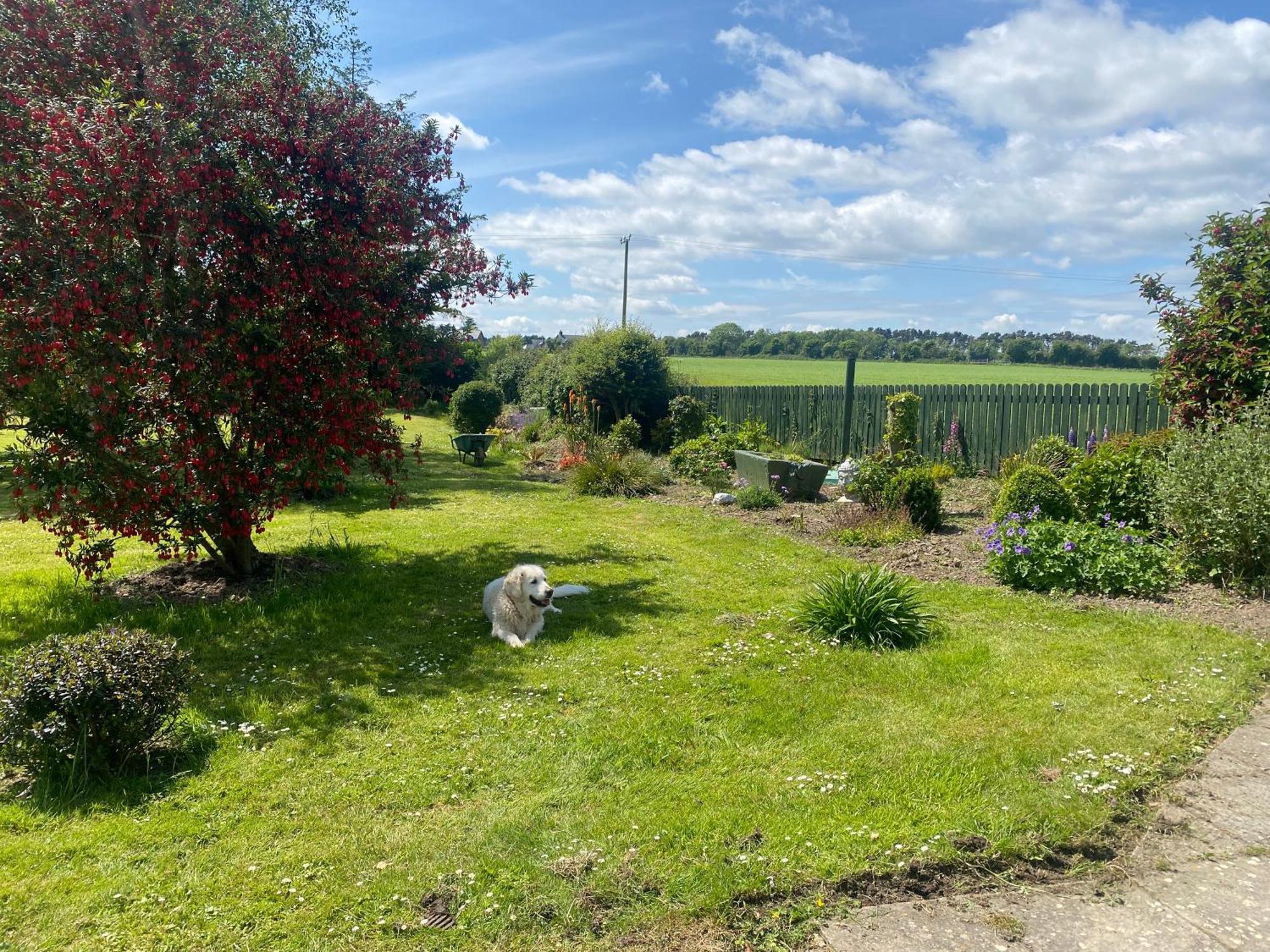 Villa Nolans Organic Farm Wexford Exterior foto